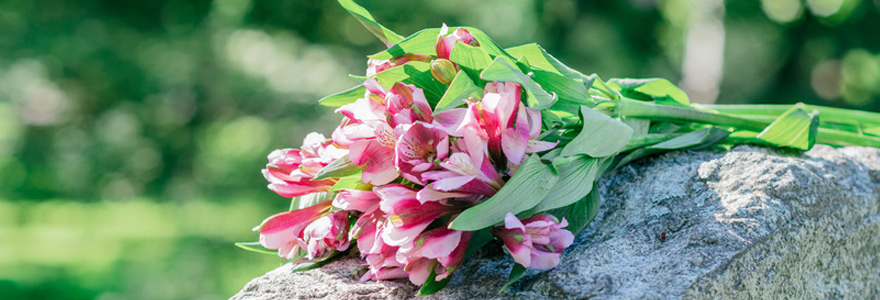 des fleurs traditionnelles