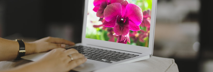 orchidées en ligne